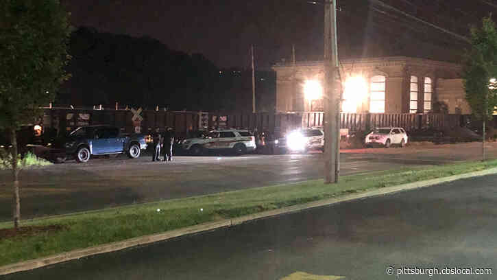 Woman Dies After Being Struck By Train Along Freeport Road In Aspinwall