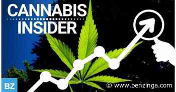 Video: Benzinga Cannabis Insider 6/8 Ft. Scott Berman President Of The Panther Group - Benzinga