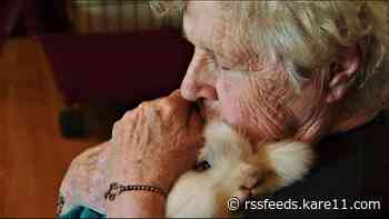 Seniors get bunny hugs, thanks to a soft-hearted teen with a plan