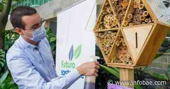 Inauguran el primer hotel para abejas en Medellín - infobae