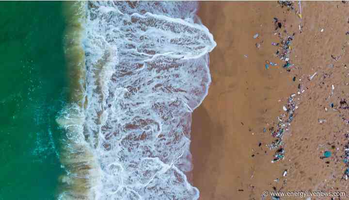 Corona to clean up US beaches