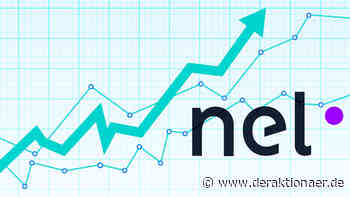 Nel: Die Analysten sind bullish - DER AKTIONÄR