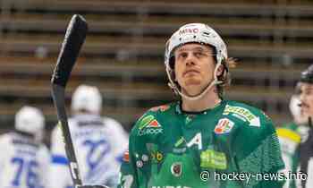 AlpsHL: Zeller Eisbären verpflichten ligaerfahrenen Schweden! – Hockey-News.info - Hockey-News.Info Österreich