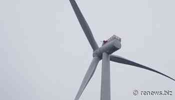 Vattenfall toasts turbine triumph at Danish Kriegers Flak