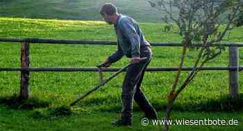 Kreisverband Gartenbauvereine Bamberg bietet Kurs "Mähen mit der Sense" - Der Neue Wiesentbote
