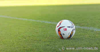 Landratsamt Neu-Ulm: Public Viewing-Veranstaltungen können nicht statt finden