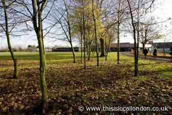 Harrow Council outlines post-Covid green spaces promotion
