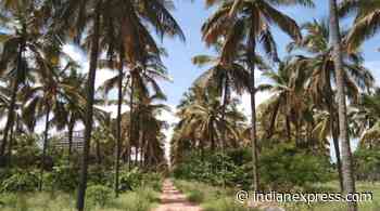 East Lalbagh in Kannamangala to be first among four forest-turned-eco parks in Bengaluru - The Indian Express