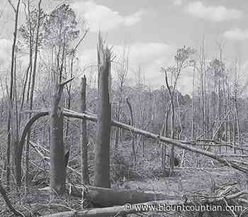 Emergency Forest Restoration Program - THE BLOUNT COUNTIAN