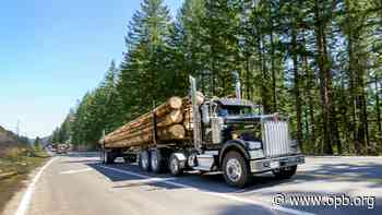 After our investigation, Oregon House moves to curb forest institute’s power and budget - OPB News