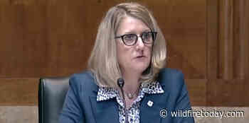 US Forest Service Chief Vicki Christiansen to retire - Wildfire Today