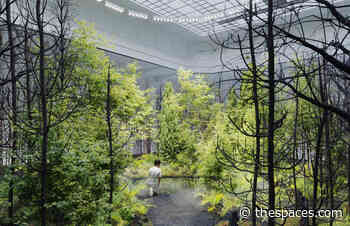 Nature takes over Vienna’s Museum of Applied Arts with pop-up forest - The Spaces