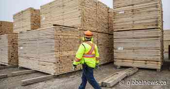 Alberta sets sights on expanding forest products harvest as high prices drive returns - Global News
