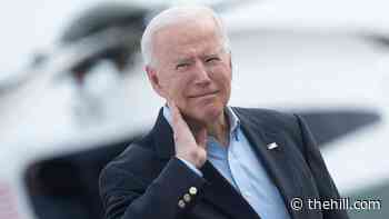Biden flicks away cicada: 'It got me'