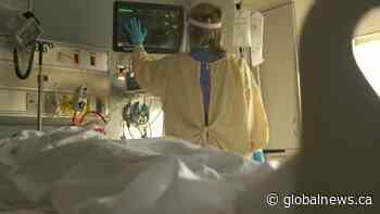 Supports in place to help frontline health-care workers: SHA