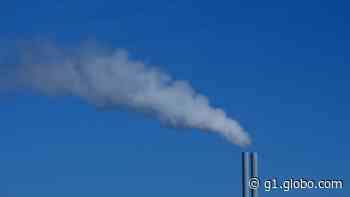 Minas assina acordo para zerar emissão líquida de gases de efeito estufa até 2050 - G1