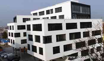 te management GmbH stellt Insolvenzantrag – UDI zeigt sich überrascht - ECOreporter.de