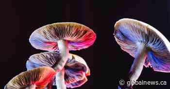 Psychedelic drugs for treatment of mental illness the focus of U of C research chair