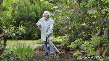 21 Mitglieder im Einsatz: Förderverein säubert Friedhof Tornesch – Parklandschaft in Planung | shz.de - shz.de