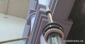 Towering Lego exhibit set to debut at Saskatchewan Science Centre in Regina