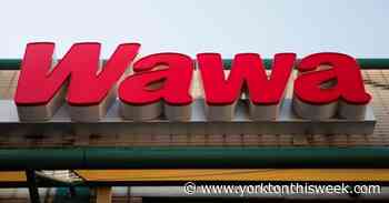 Wawa to mark 'Mare of Easttown Day' with new cheesesteak - Yorkton This Week