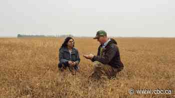 With pea-based liqueur, Edmonton entrepreneur bridges heritage and home