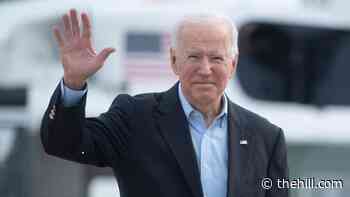 Biden seeks to unite allies on China