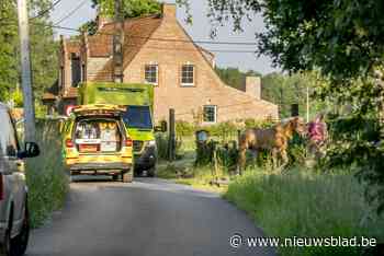 Fietser zwaargewond, man overleden op wei