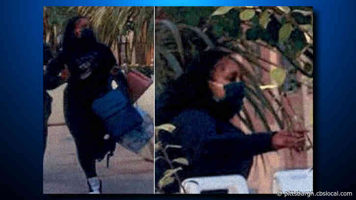 Gang Of Thieves Swarms Louis Vuitton Store, Swipes $100,000+ In Handbags