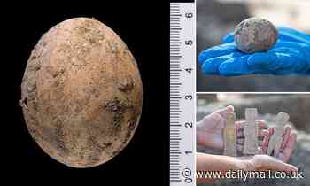 1,000-year-old chicken egg preserved in human feces inside an ancient cesspit unearthed in Israel