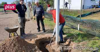 Bischofsheim Mehrkosten für Kunstrasenprojekt des SV 07 Bischofsheim - Echo Online