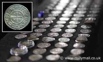 Coins found in Poland may have been bribe to keep Vikings from sacking Paris over 1,200 years ago
