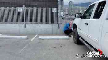 B.C. doctor charged with child sex crimes declines comment after being released from police custody