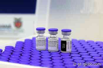 Garanhuns amplia vacinação contra a Covid-19 para pessoas a partir dos 50 anos - G1