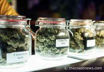 Oceanside council removes 'medical-only' cannabis restrictions - Coast News
