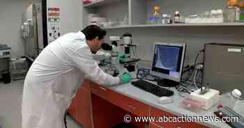 Tampa Bay area doctors share medical advancements in use of stem cells - ABC Action News