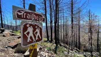 Getting a first-hand look at burned trails closed in the Santiam State Forest