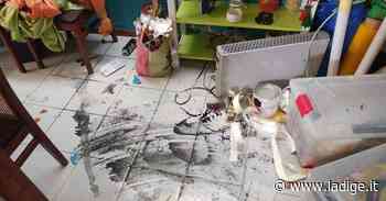 Vandali scatenati ad Ala, distrutta la sede del Peter Pan al parco Bastie - l'Adige - Quotidiano indipendente del Trentino Alto Adige