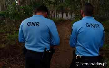 GNR já identificou terrenos ‘não limpos’ na zona de Braga e multas são pesadas - Semanário V