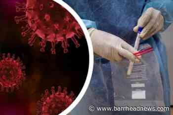 East Renfrewshire Covid: Ten weeks without virus death - Barrhead News