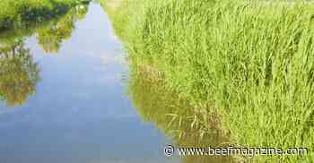 Biden administration begins rewrite of water rule