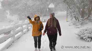 No longer 'Melbourne's mountain': Mt Buller struggles as regional businesses welcome eased restrictions