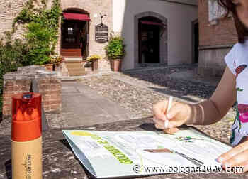 Giochiamo nel borgo, alla scoperta di Castelvetro di Modena - Bologna 2000