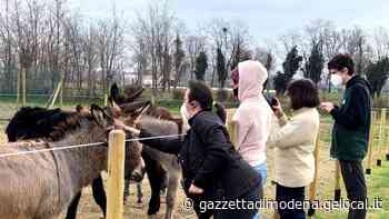 Modena. “Bendesa”, così si riparte accanto ai disabili sul lavoro - La Gazzetta di Modena