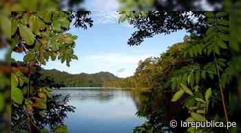 Piura: promueven conservación de bosques tropicales frente al cambio climático - LaRepública.pe