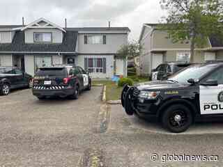 Calgary police investigating early morning stabbing in northeast - Global News