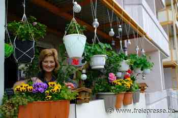 Blumenpracht auf dem Balkon springt ins Auge - Freie Presse
