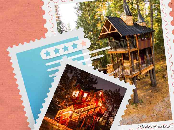 19 of the best tree-house rentals in the US, including perches with ocean views, ziplines, and indoor hammocks