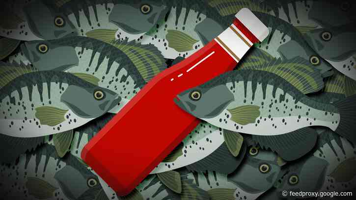Ketchup originated in Asia as a thin soy sauce made from fermented fish