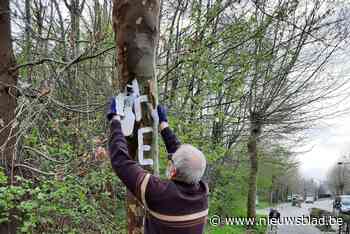 Noodkreten in Matenstraat noodgedwongen opnieuw verwijderd - Het Nieuwsblad